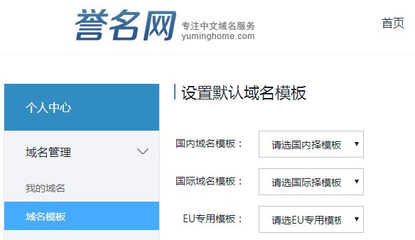 \"域名模板是什么？\"/