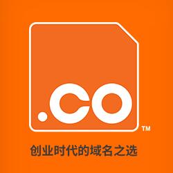 \".co域名\"/