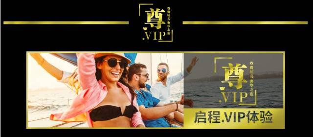 \"新顶级域名.vip域名\"/