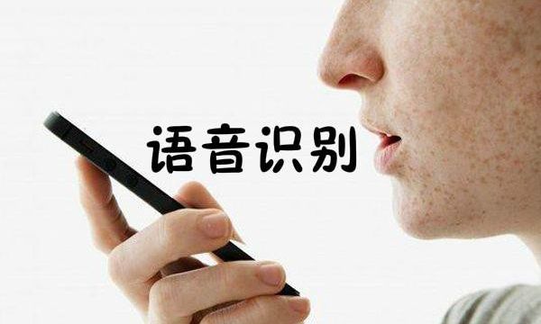 \"語音識別與域名尋址結(jié)合\"/