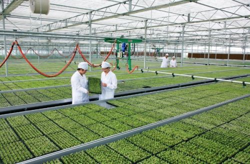 \".集团中文域名迸发农业电商新动力\"