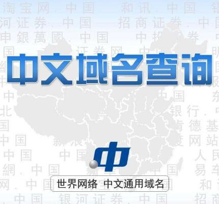 \"中文域名\"
