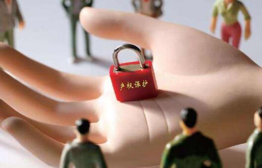 \"什么是域名反向侵夺\"/