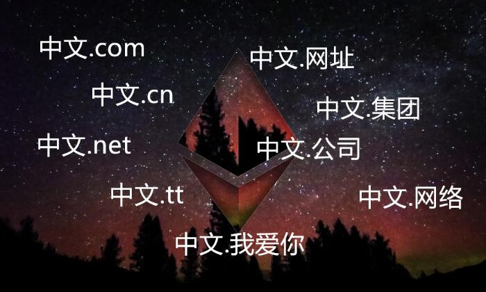 \"中文域名转码是什么意思\"/