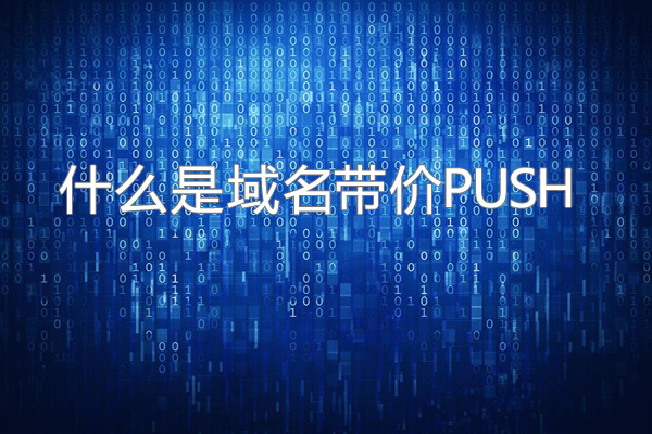 \"域名带价PUSH\"/