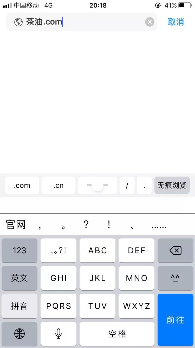 \"中文域名在搜索框中能带来流量吗\"